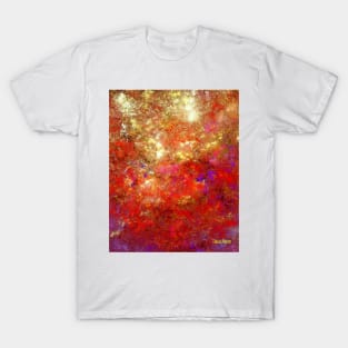 Red Sky in the Morning T-Shirt